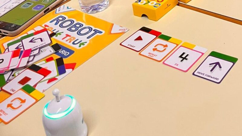 PROYECTO DE ROBÓTICA 2024-2025