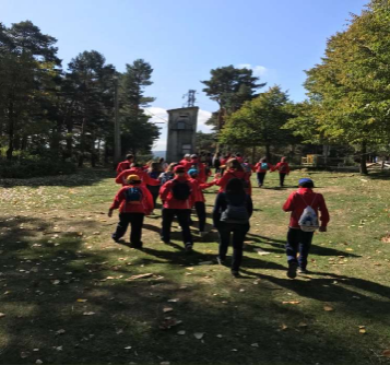 Screenshot 2020-04-17 at 19.46.24