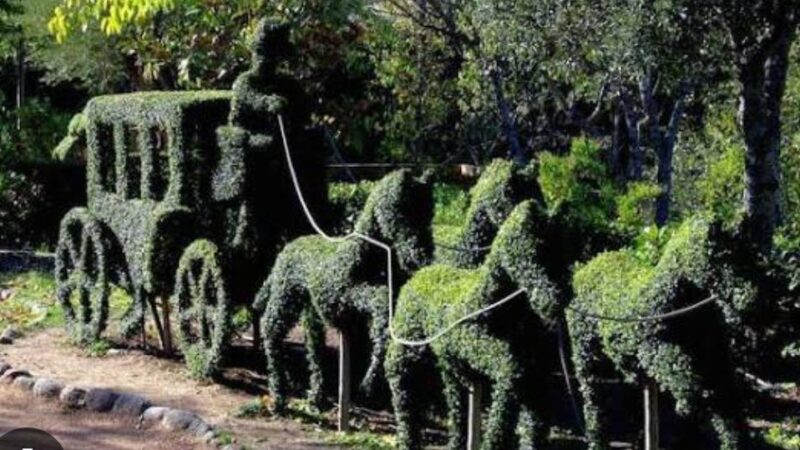 VISITA AL BOSQUE ENCANTADO