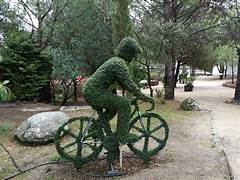 bosque_encatado_2
