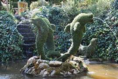 bosque_encatado_3